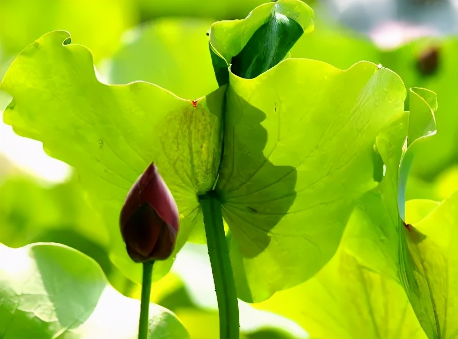 �������٣����ϴ��������֡���������