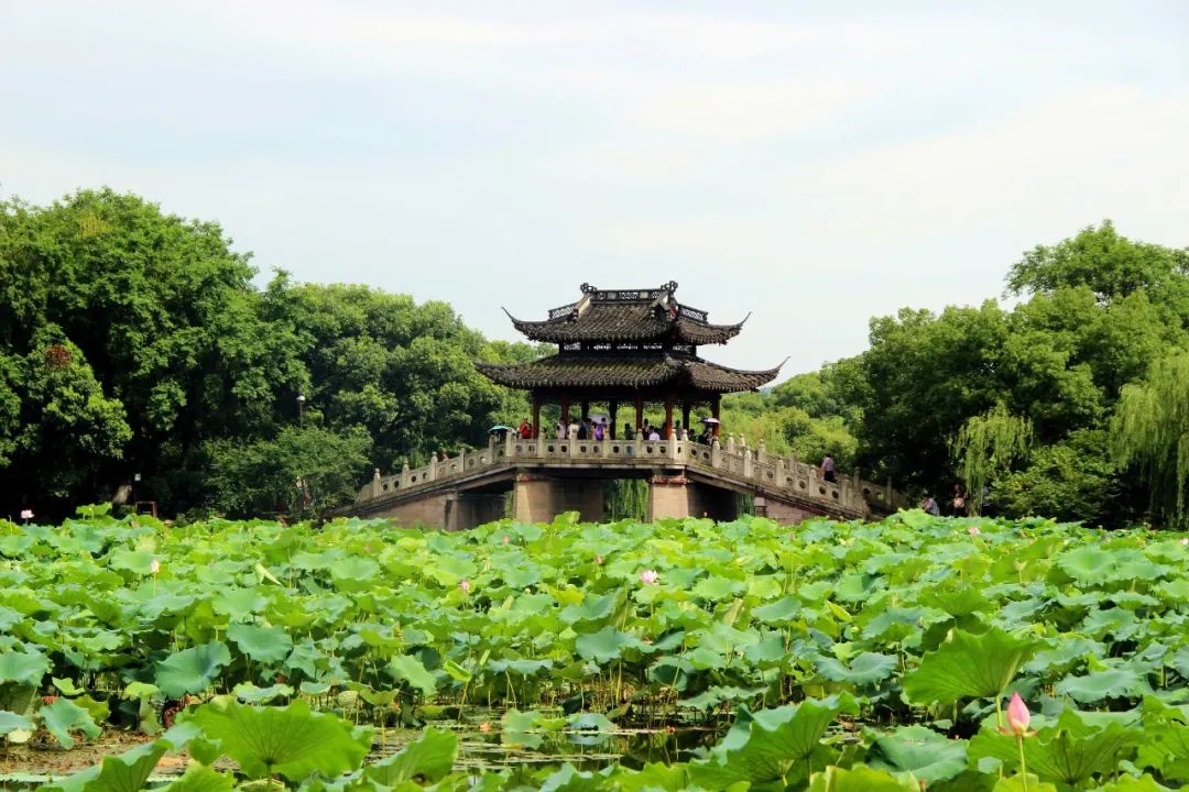 夏天的古诗有哪些，赏析夏季古诗词10首