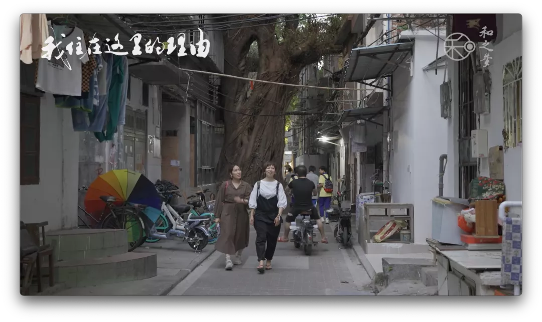 54岁不结婚不生孩子,她在中国的自由生活
