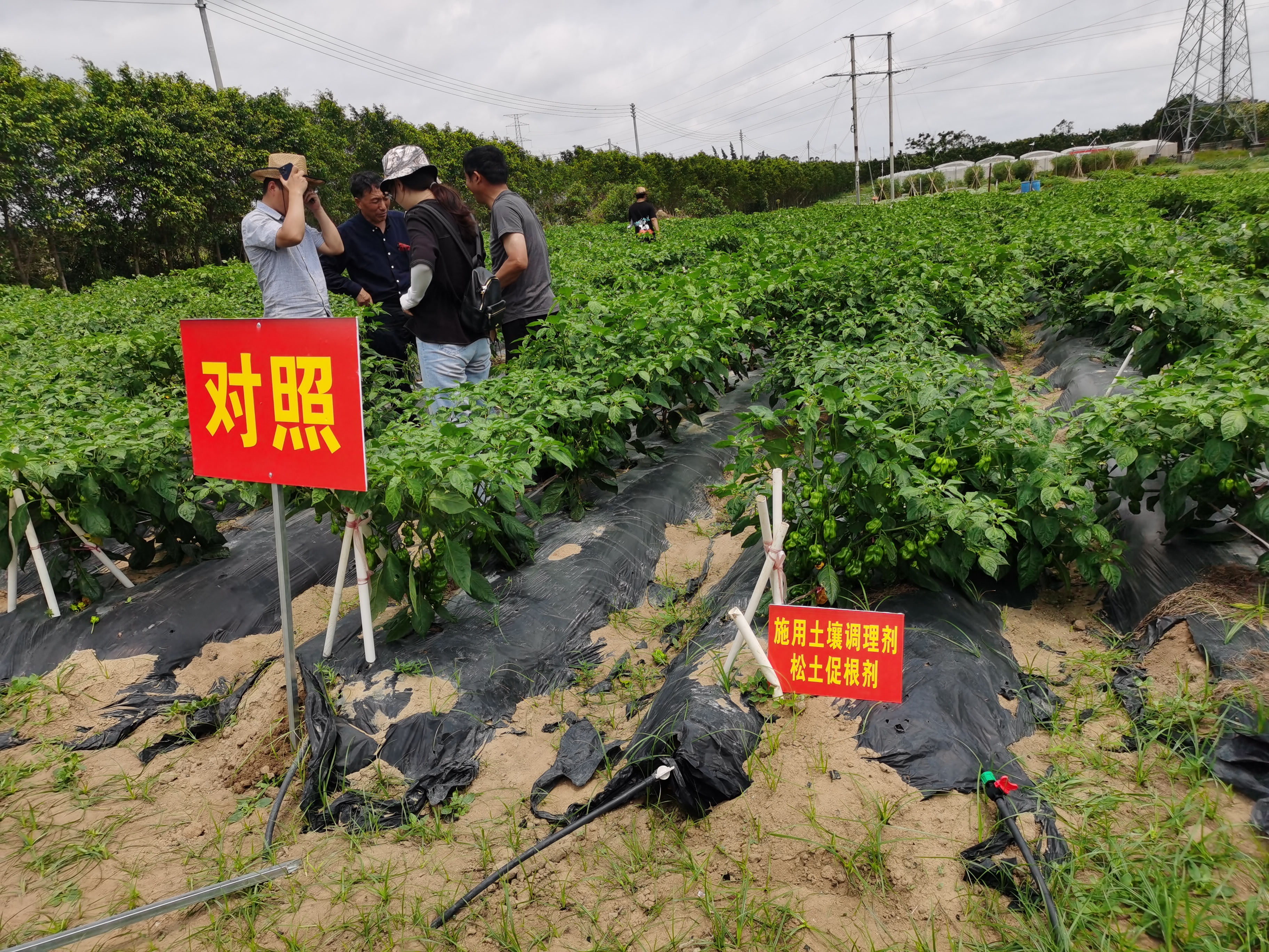 科学发展农业，提高耕地质量