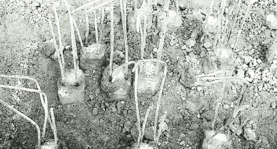 A tofu dregs project killed 33 lives and the tragic collapse of the New World Hotel iNEWS