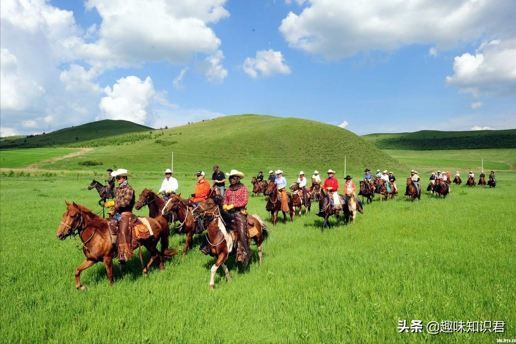 盤點世界上各種有趣冷星空体育官网入口网站