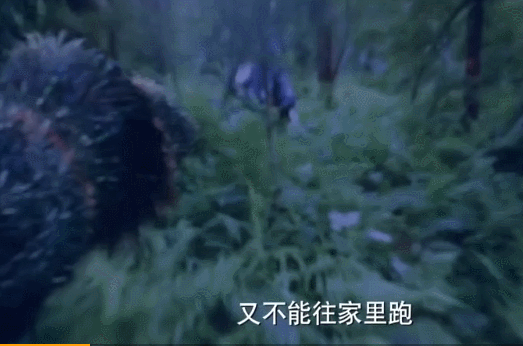 Did not look to make one star to Xiao Zhan, do not tell Wu De? 