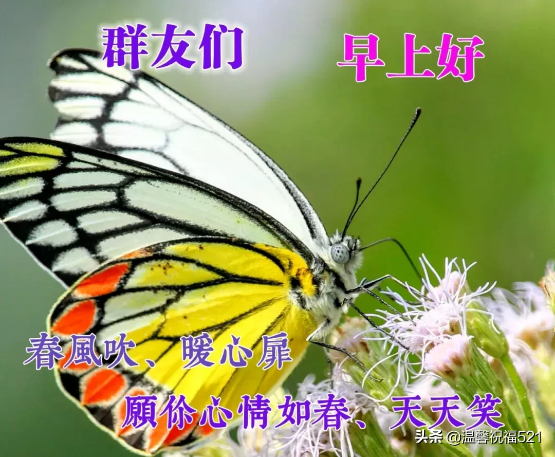 微商早安图片2021新图片 早上好唯美暖心问候语 图片