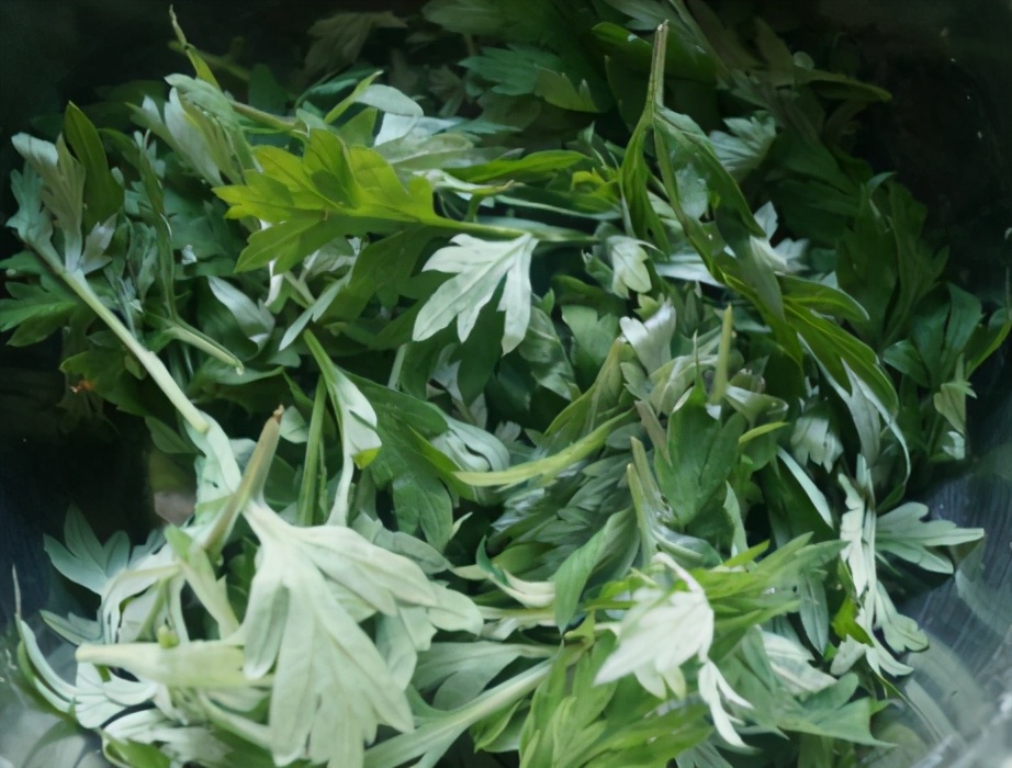 圖片[2]-艾草雞蛋湯的做法步驟圖 女人體寒可時常多吃-起舞食譜網