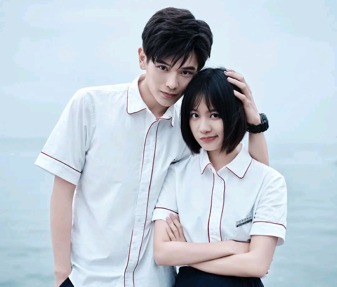 近期很火的5部电视剧，你若一部都没看，那就太可惜了