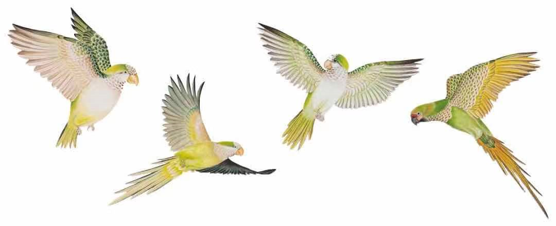 巧用配飾 將春日景色留在家中 維美佳藝設計 Mdeditor