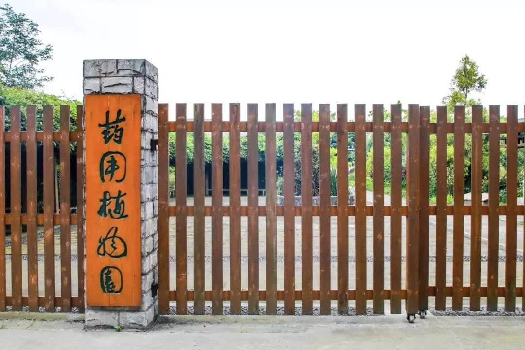 首家华为医学智能学院落户四川，不选四川大学，与成中医牵手成功