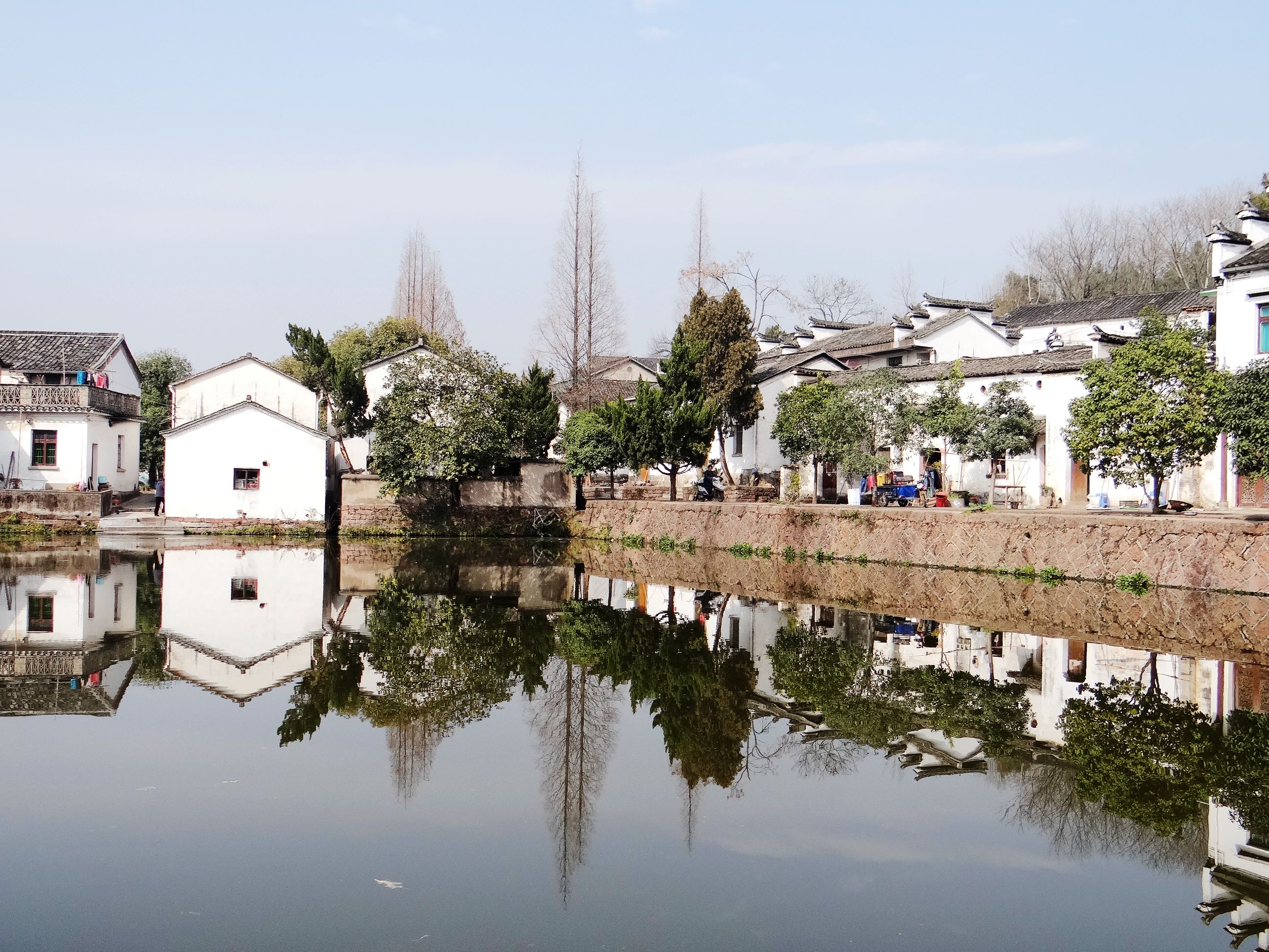 诸葛八卦村构建神奇，后世子孙多以医药为业，这是为了什么原因？