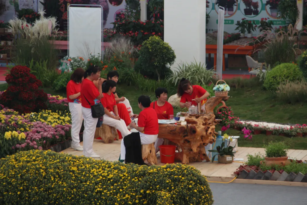 大饱眼福，第八届中国沭阳花木节竟如此精彩！你想看的全在这里…