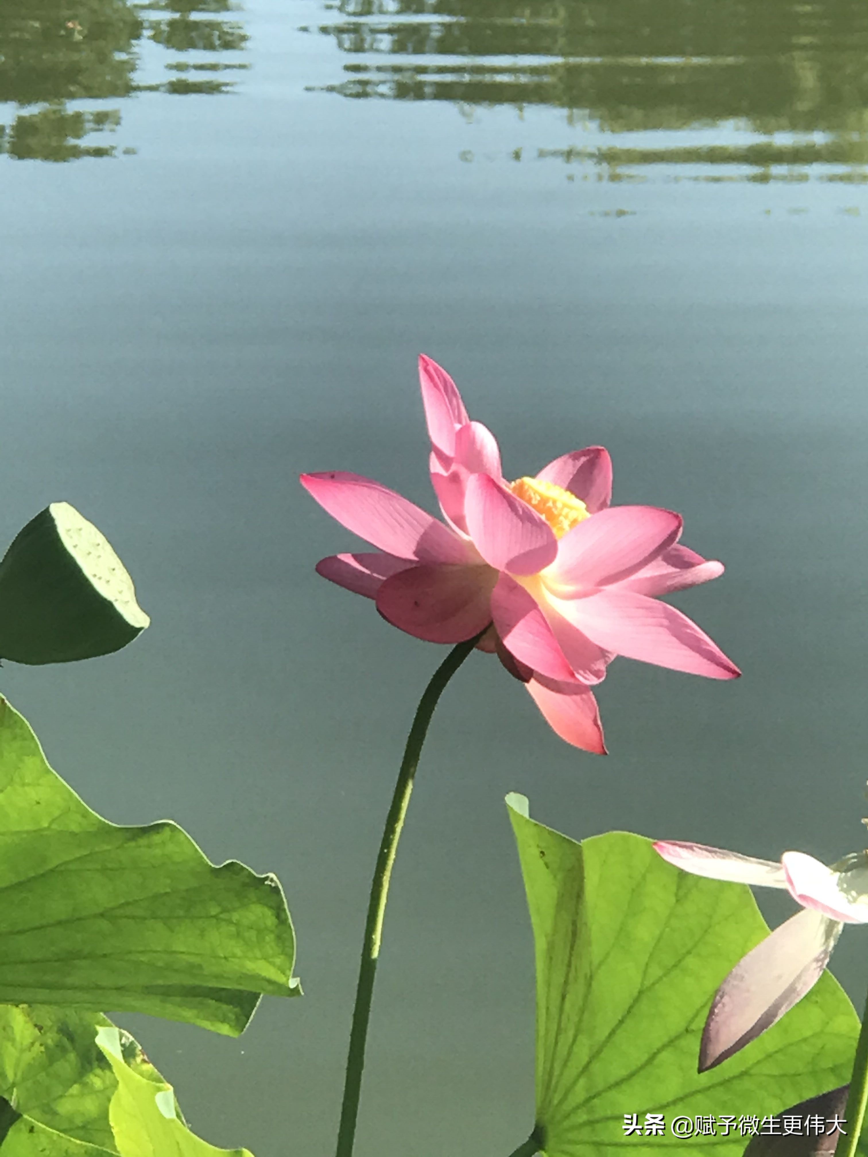 早晚凉——秋胜一日秋