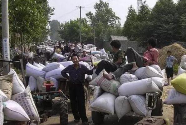 缴纳过公粮的农民，真的可以每月领几百元的养