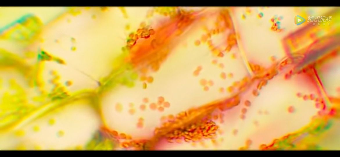 《一点就到家》从三主人公分析创业中的人为因素