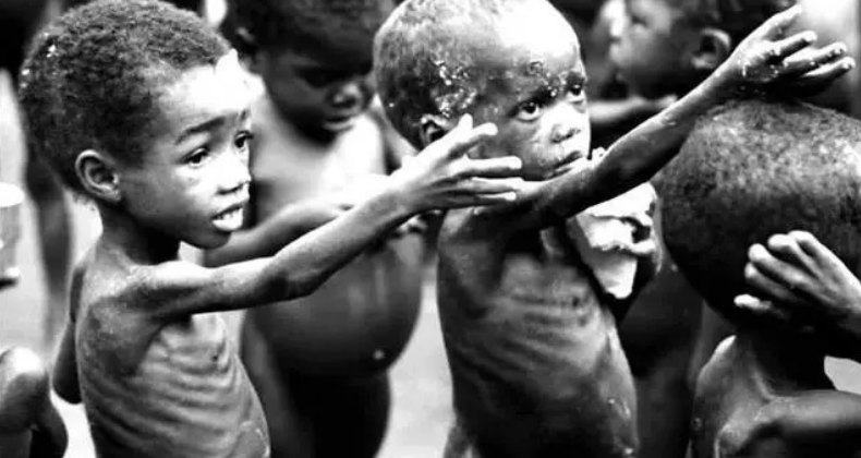 联合国警告：世界粮食面临严峻问题，亚洲将出现大饥荒