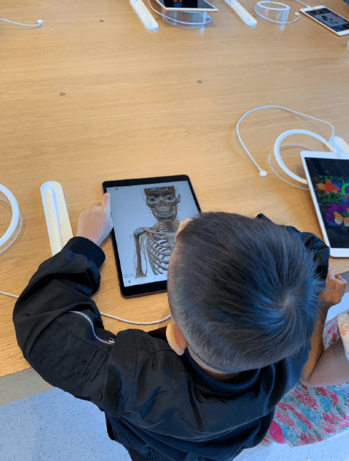 当妈不易！杨乐乐落泪自述鸡娃教育，曾报8个兴