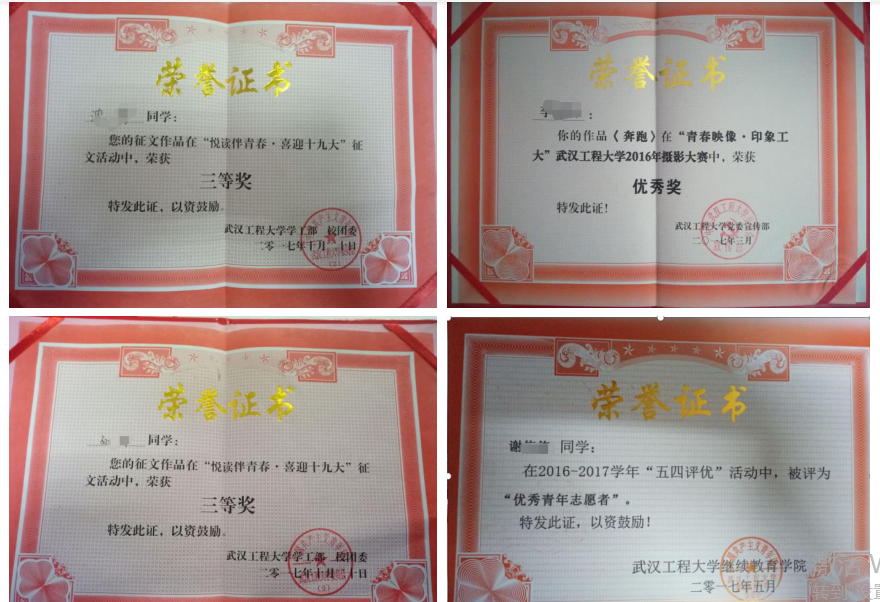 武汉工程大学高等教育全日制本科助学班 参加校级活动荣誉榜