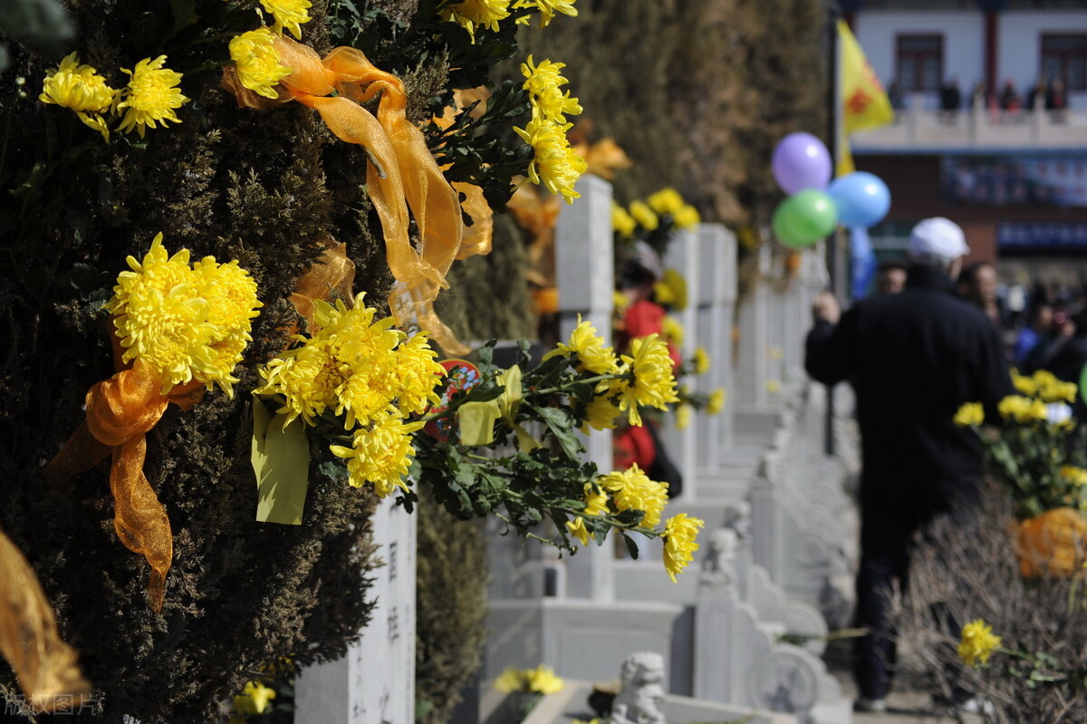 作为新手小白，如何学习自媒体呢？