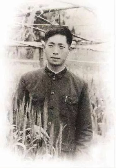 感动的爱情故事 睡前故事,给恋人的睡前小故事长篇 第4张