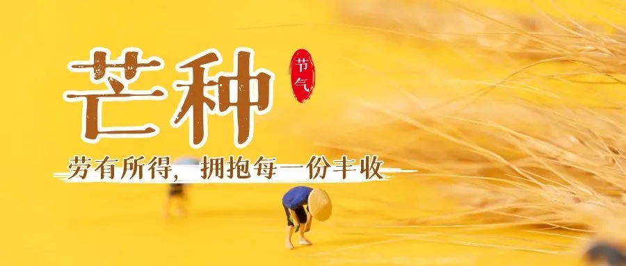 芒種丨勞有所得，擁抱每一份豐收