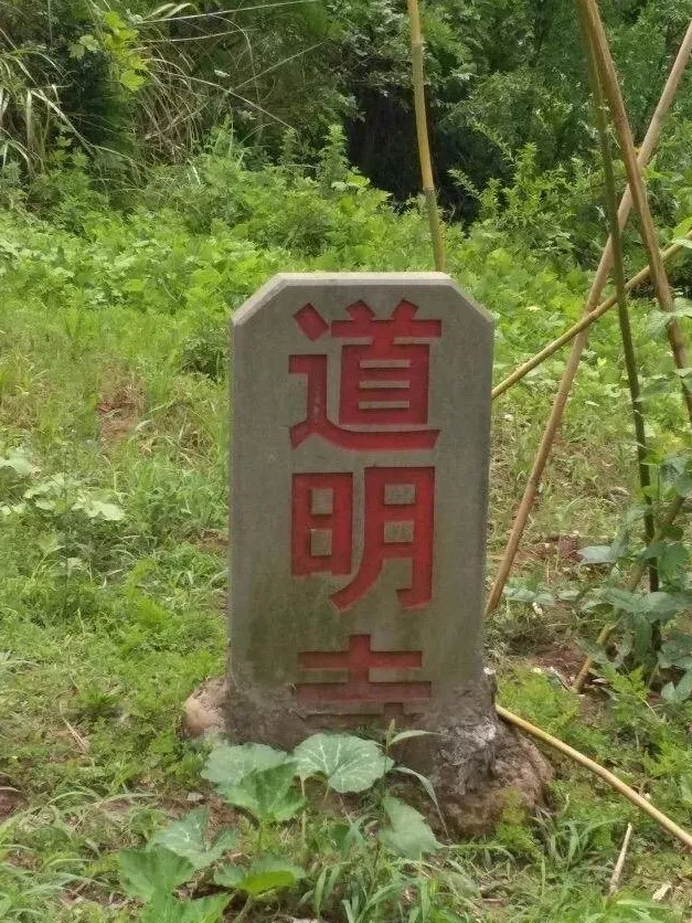 谁杀死了台湾偶像剧？