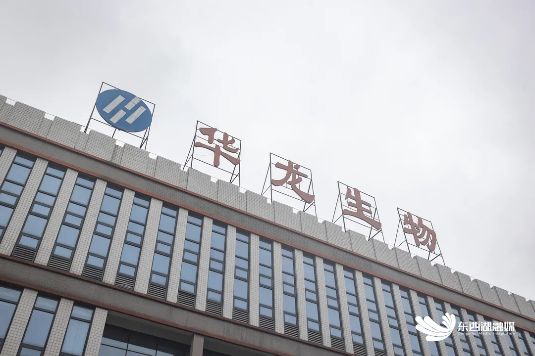 厉害!这支注射液,打破国外垄断