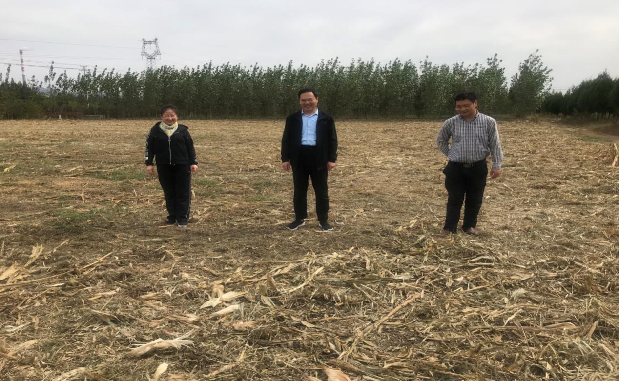 "双节"假期不停歇，临沂市掀起秸秆禁烧工作热潮