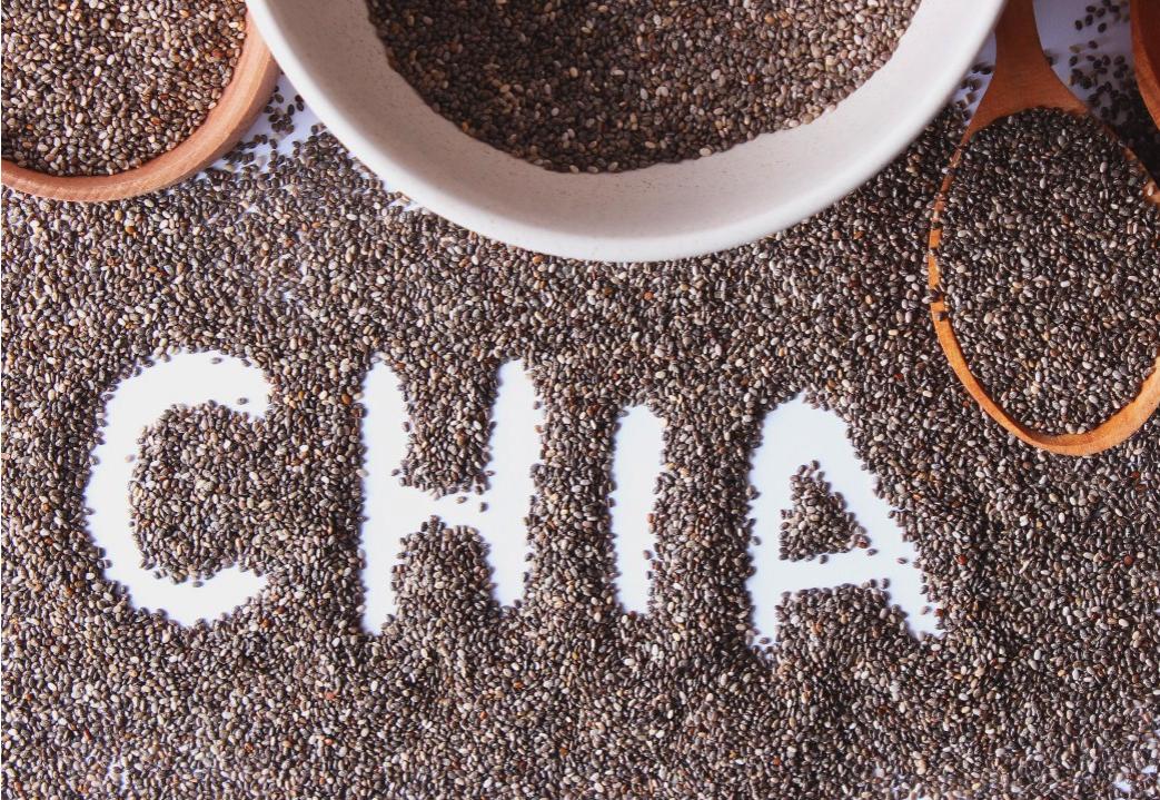关于Chia的价值，chia目前的发展状况简述