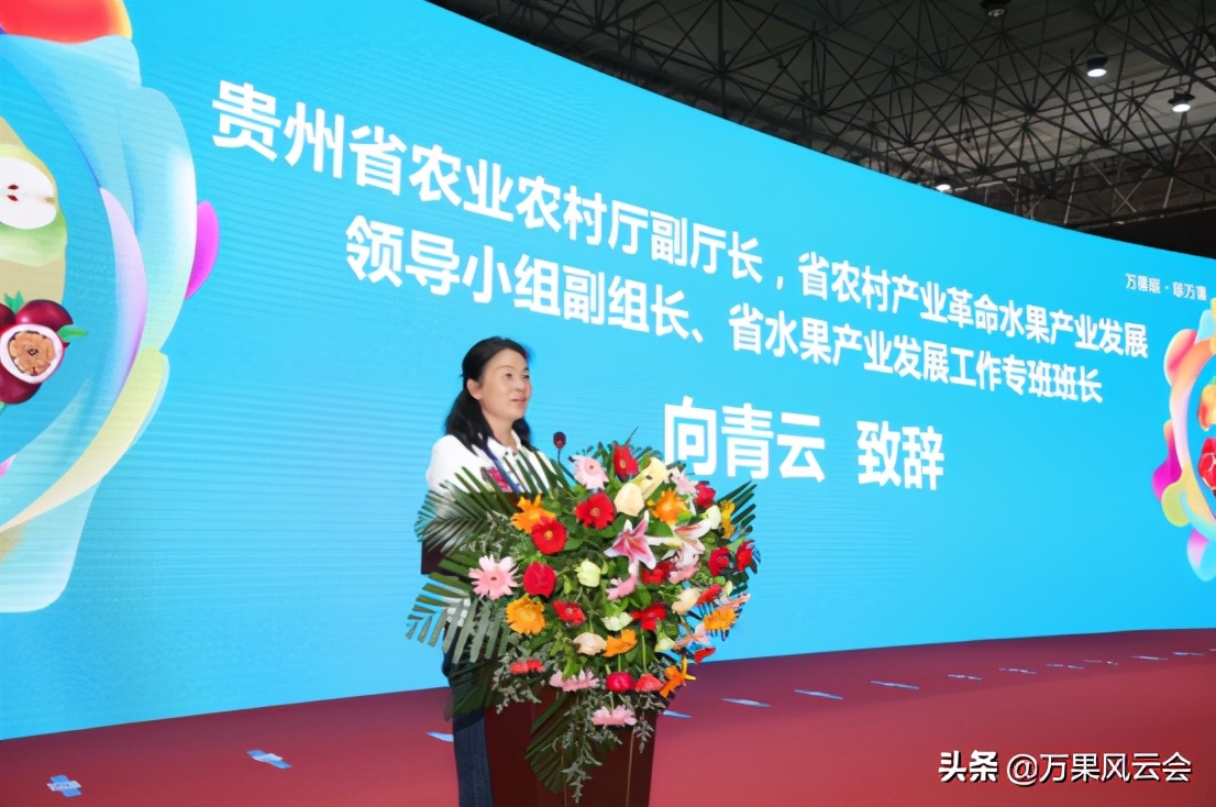 黔地果飄香，貴州精品水果“進(jìn)擊”華南市場