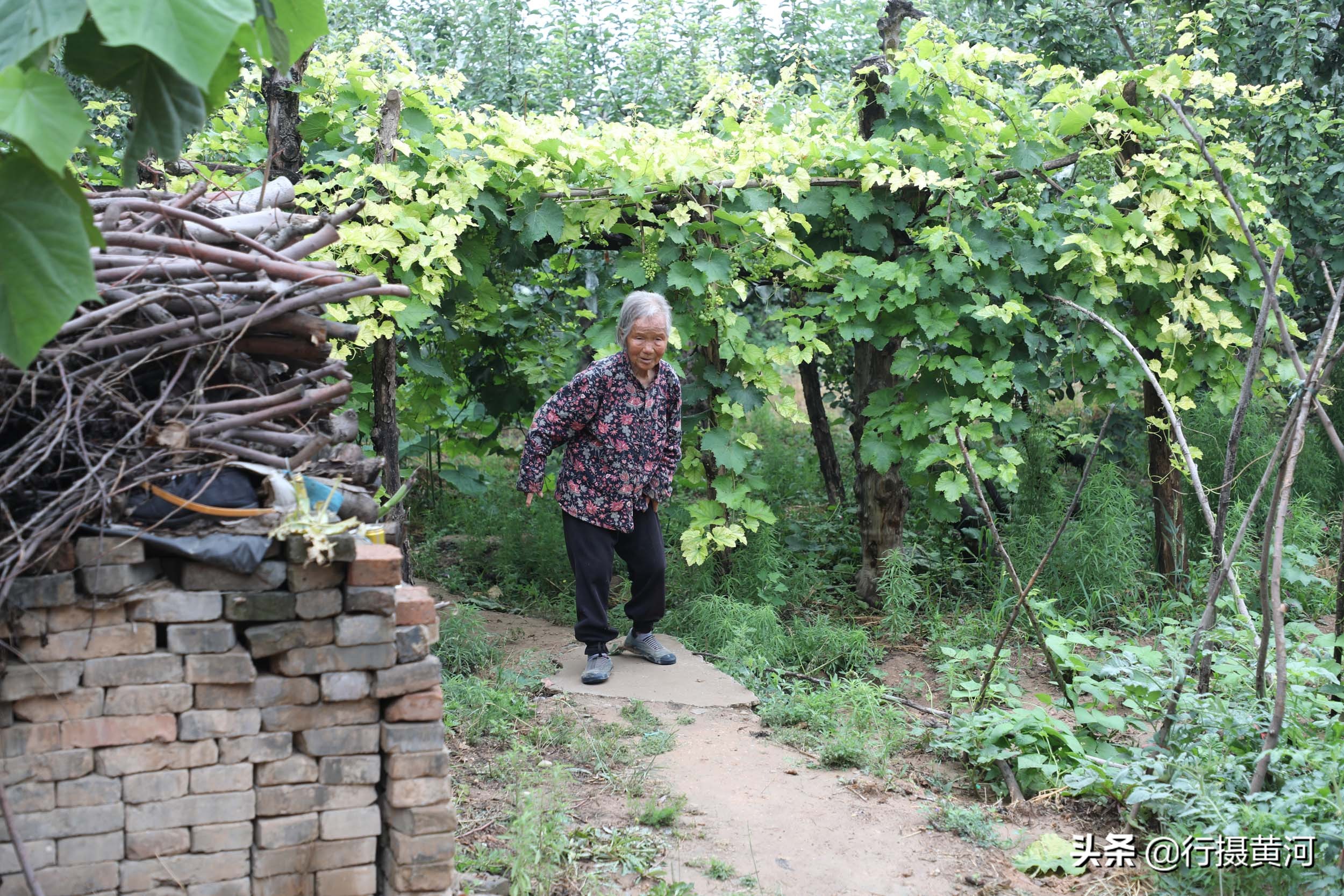 The 94-year-old grandmother of Shanxi is only 1.4 meters tall and ...