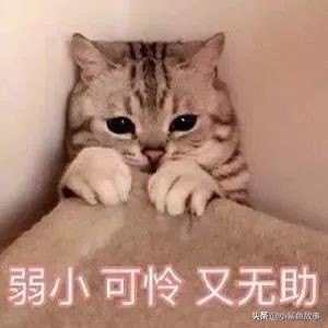 “我清华博士，儿子年年倒数第一”：不出意外