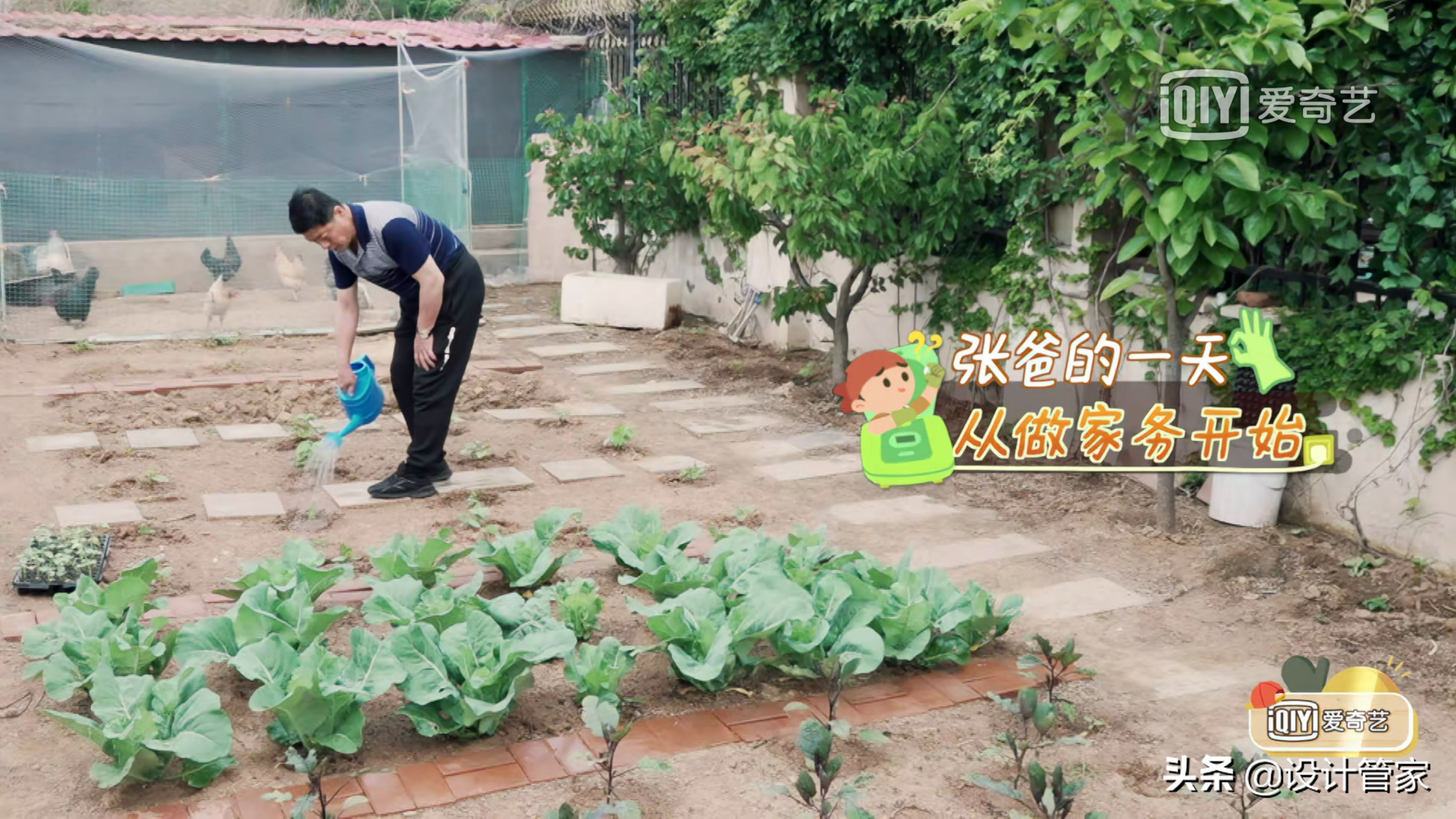 张继科青岛豪宅首曝光，装修奢华大气，院子里养鸡种菜超接地气