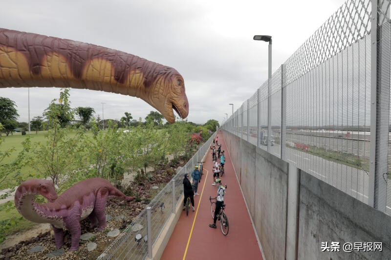 霸气恐龙一周不到变成没牙虎，新加坡网民怒了