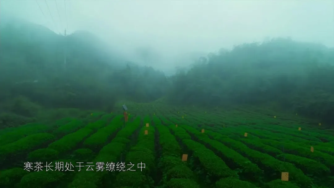 世界看湖南丨新化天门:原味老家,梦里天门