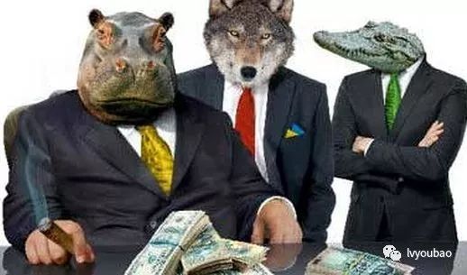 鹏起而落：复盘一个高杠杆夺权的疯狂游戏