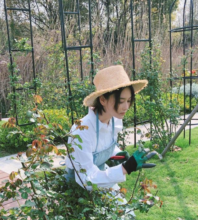 Zhang Xin grants to make " happy farm " , too good life performs good play, autonomic person has much dreariness