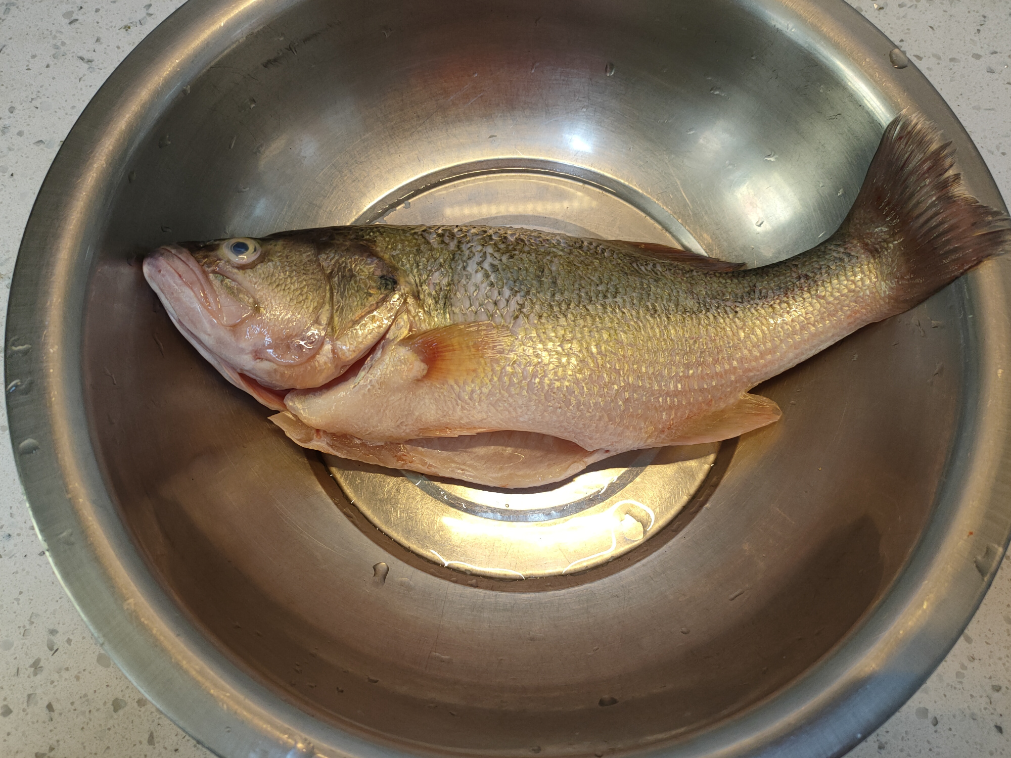 夏天生长黄金期，常给孩子吃这款淡水鱼，富含DHA，味道鲜营养好