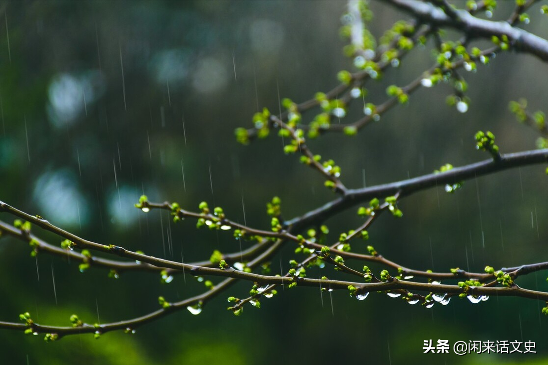 杨万里在小雨中写的一首诗，幽默风趣，把自然之美写得无以伦比-第3张图片-非凡网