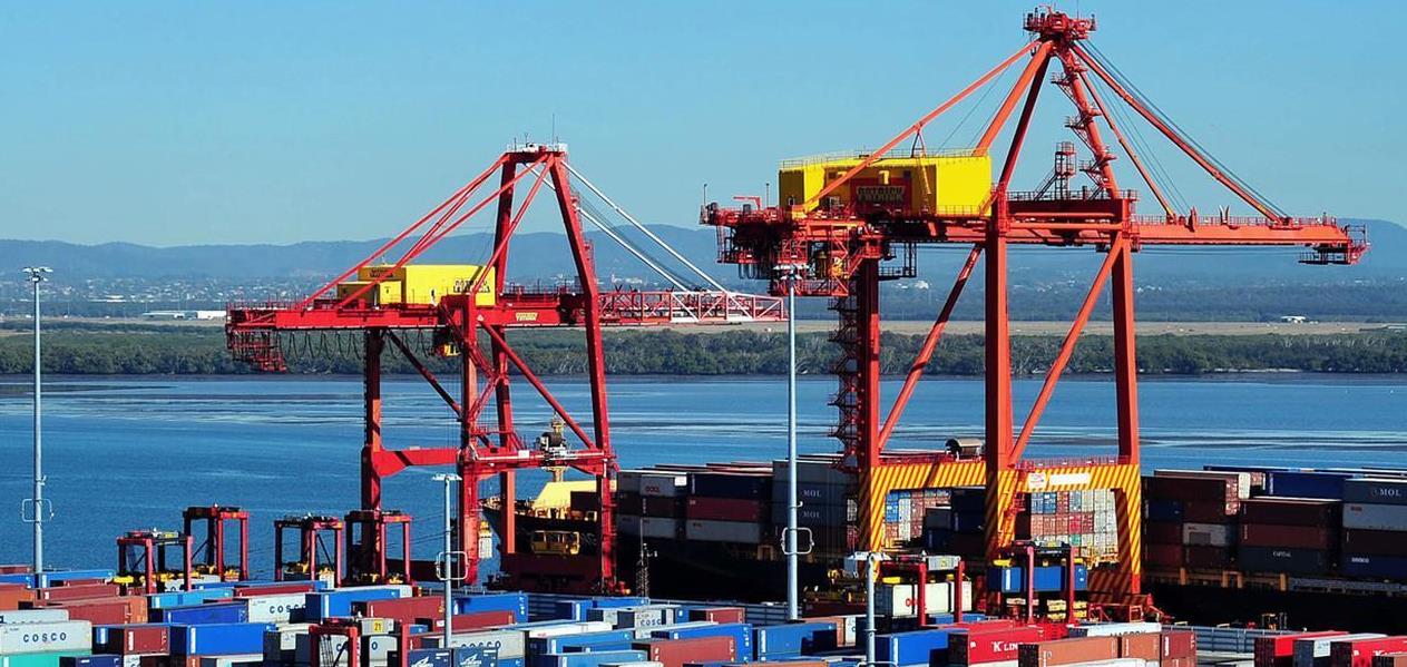 �不該跟風美國的�，失去中國市場後，澳大利亞乾草要崩