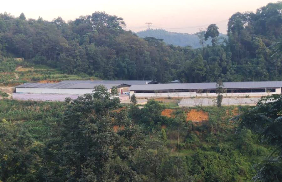 “十四五”时期，乡村旅游如何发展，这五种模式，值得借鉴