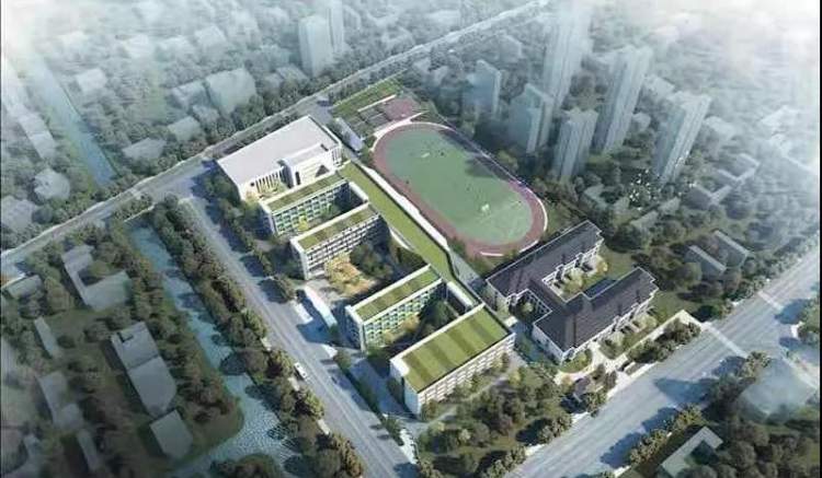 上海市閔行區(qū)七寶文來學校!家門口新添好學校(圖4)