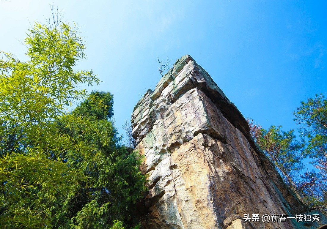 实体店越来越少，直播带货将又一次兴起