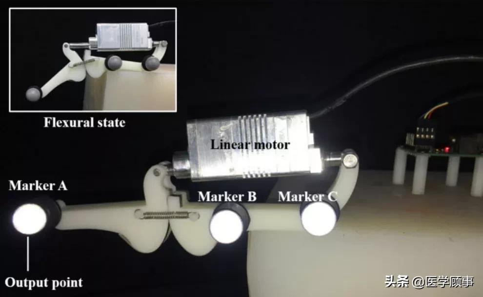 中國科學家首次研發仿生關節外骨骼模型，靈感來自波士頓龍蝦