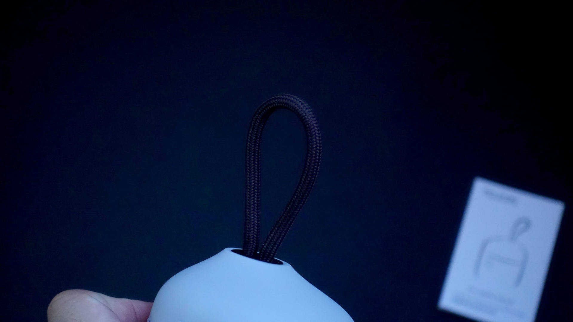 泰迅TELESIN充电盒体验：有了它家中的狗破再也不怕断电了