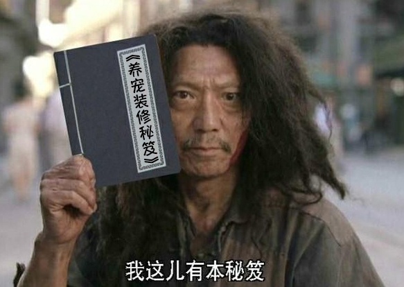 养宠家庭的“装修秘笈”┃ 东方一木科普