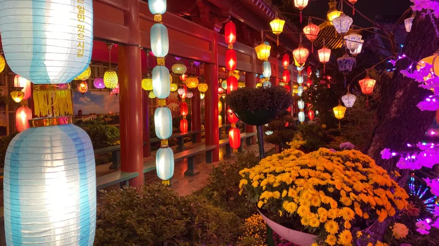 中国开封第38届菊花文化节开幕