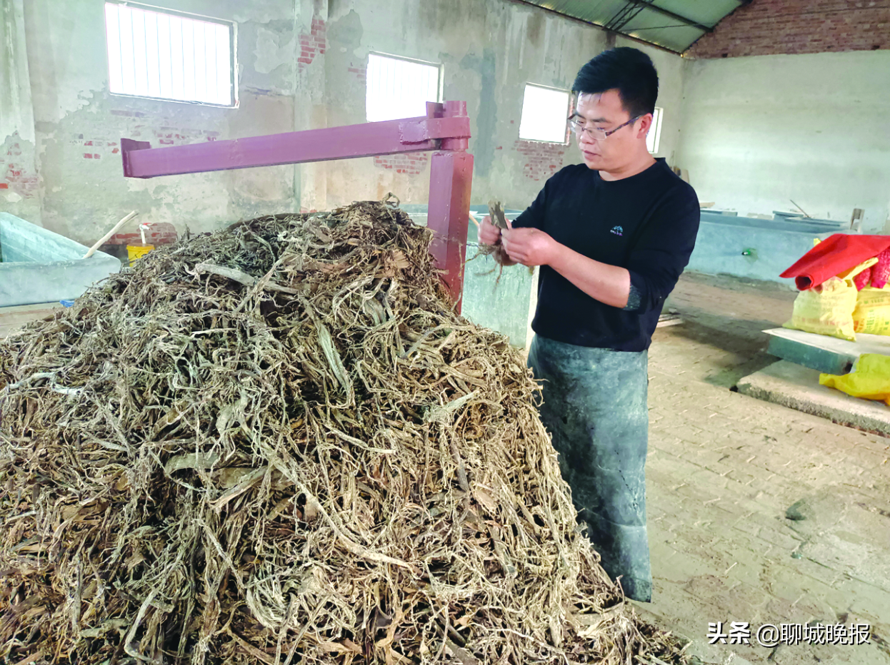 来自于东汉蔡伦！鲁庄造纸技艺在传承中进行创新