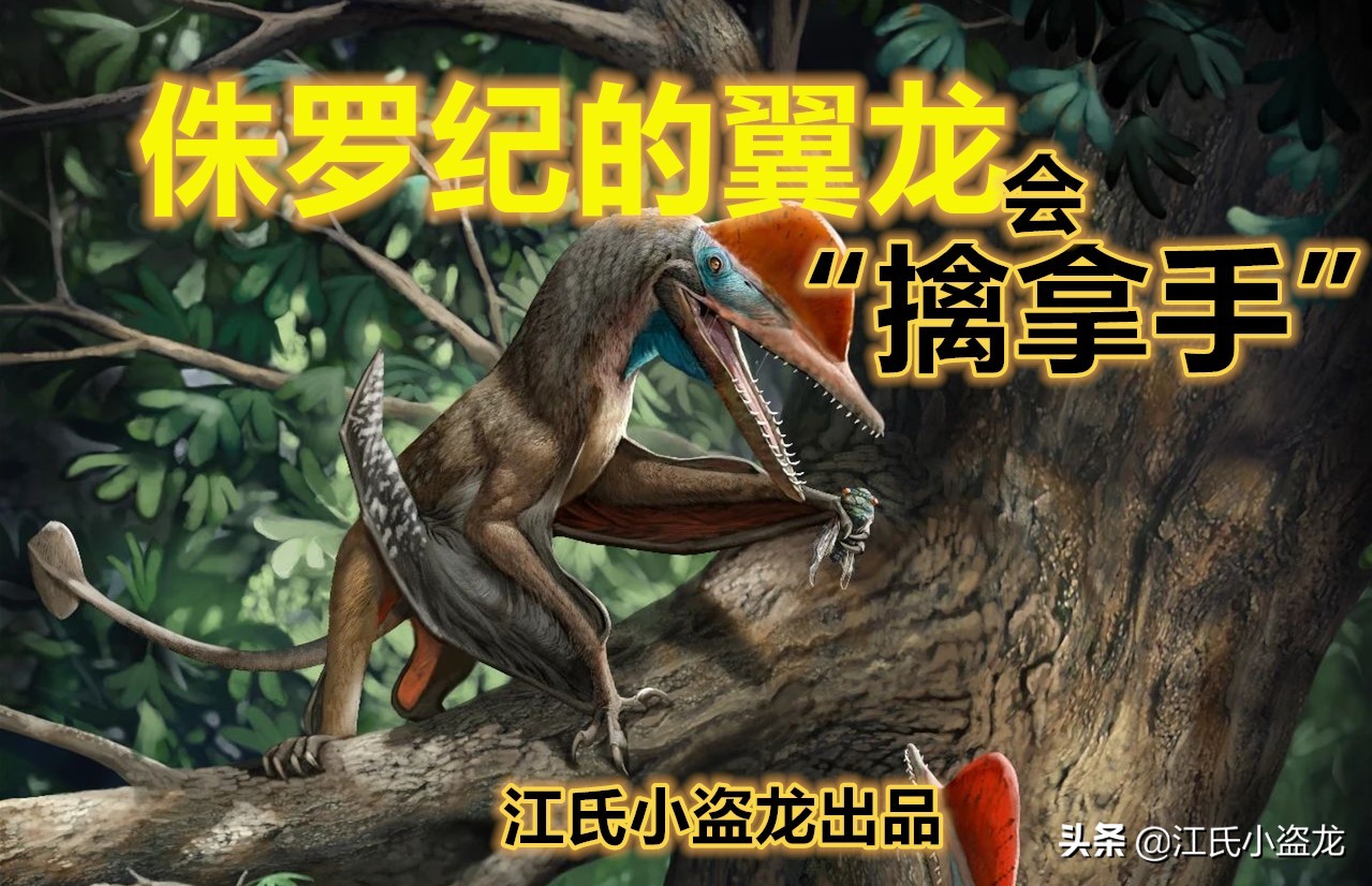 侏羅紀的翼龍竟然會“擒拿手”