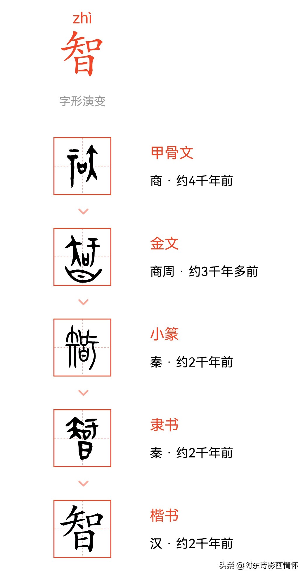 智」字的前世今生，「聰明睿智，守之以愚」的處世之道- 資訊咖