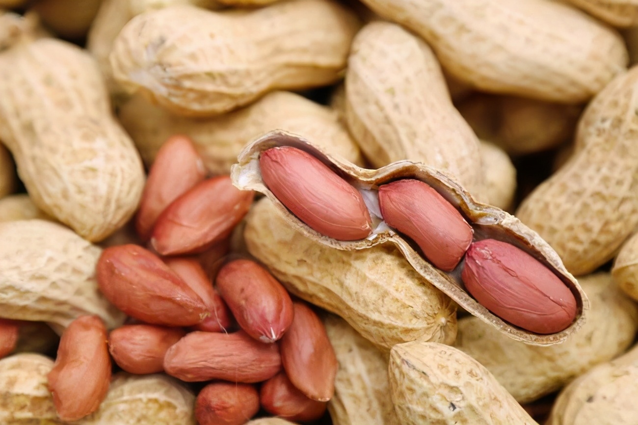 Want to eat roasted peanuts for the New Year? How to taste roasted peanuts in shell iNEWS