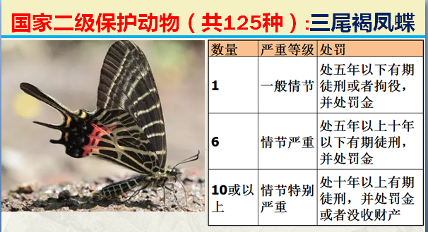 国家最新125类二级野生保护名录，图片及违法对应刑责